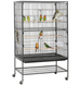 Bird Cage House bird-cage-house фото 1