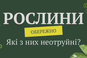 Рослини: Які З Них Можуть Бути Отруйними? фото