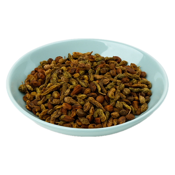 Софора японська sofora-yaponska фото